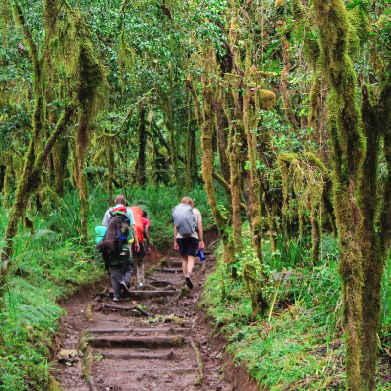 Kilimanjaro-Climb-16